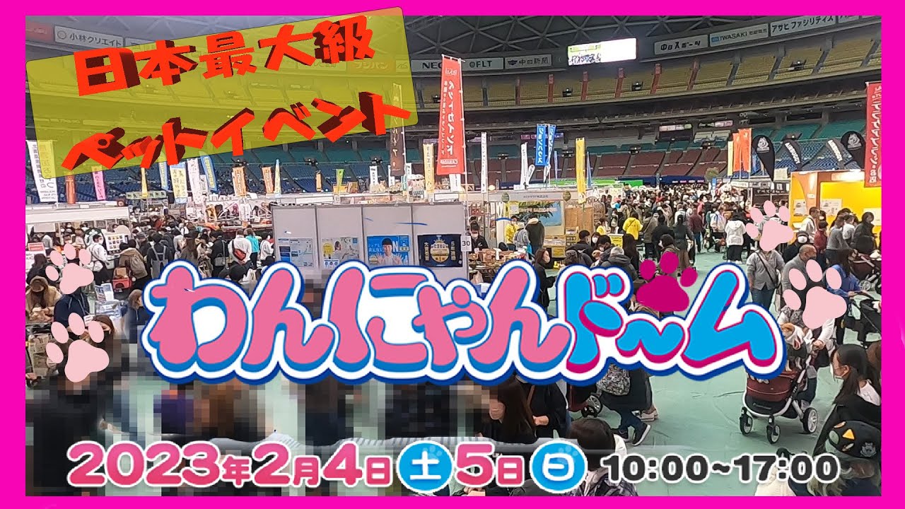【わんにゃんドーム】2023 バンテリンドーム名古屋