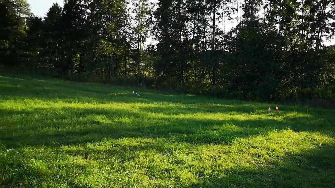 Wygryny wrzesień