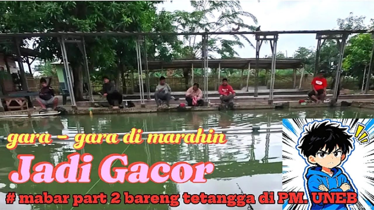 GARA GARA DI MARAHIN JADI GACOR