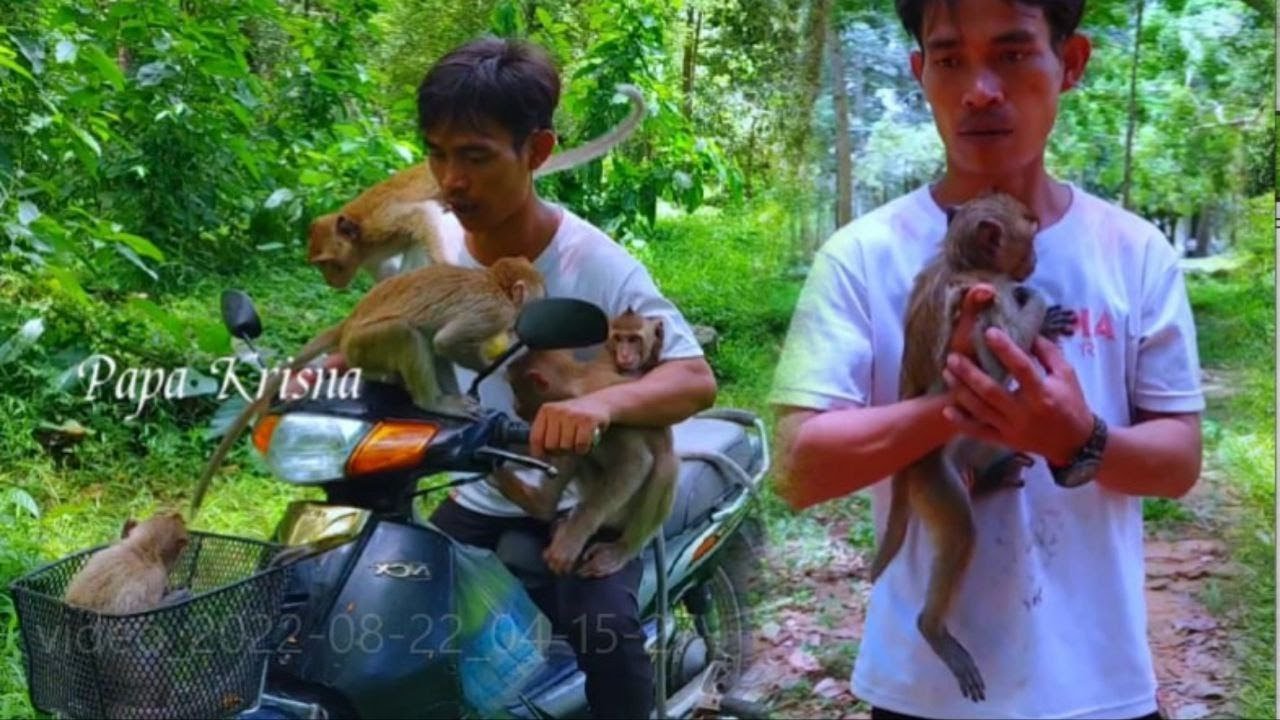 Mr. Lin Visit Sovana Family & Tried To Collect all kids home & Vana was helpless to control her kids