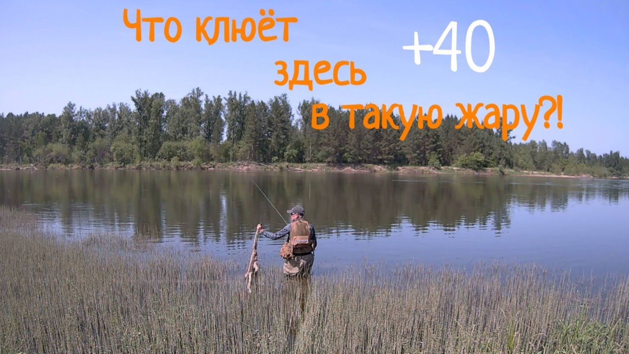Рыбалка на реке Амыл. Жара, а комары звереют!#рыбалка2025