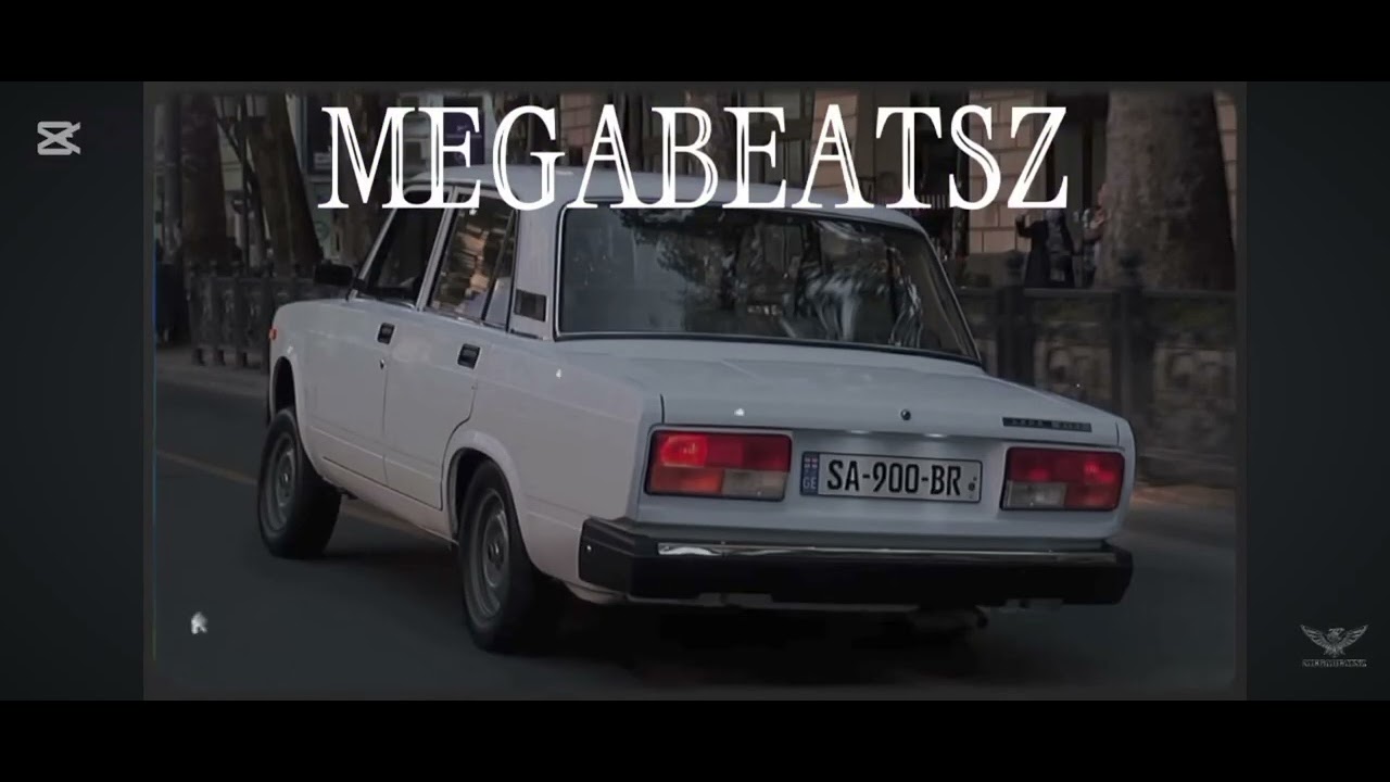 Asser basss