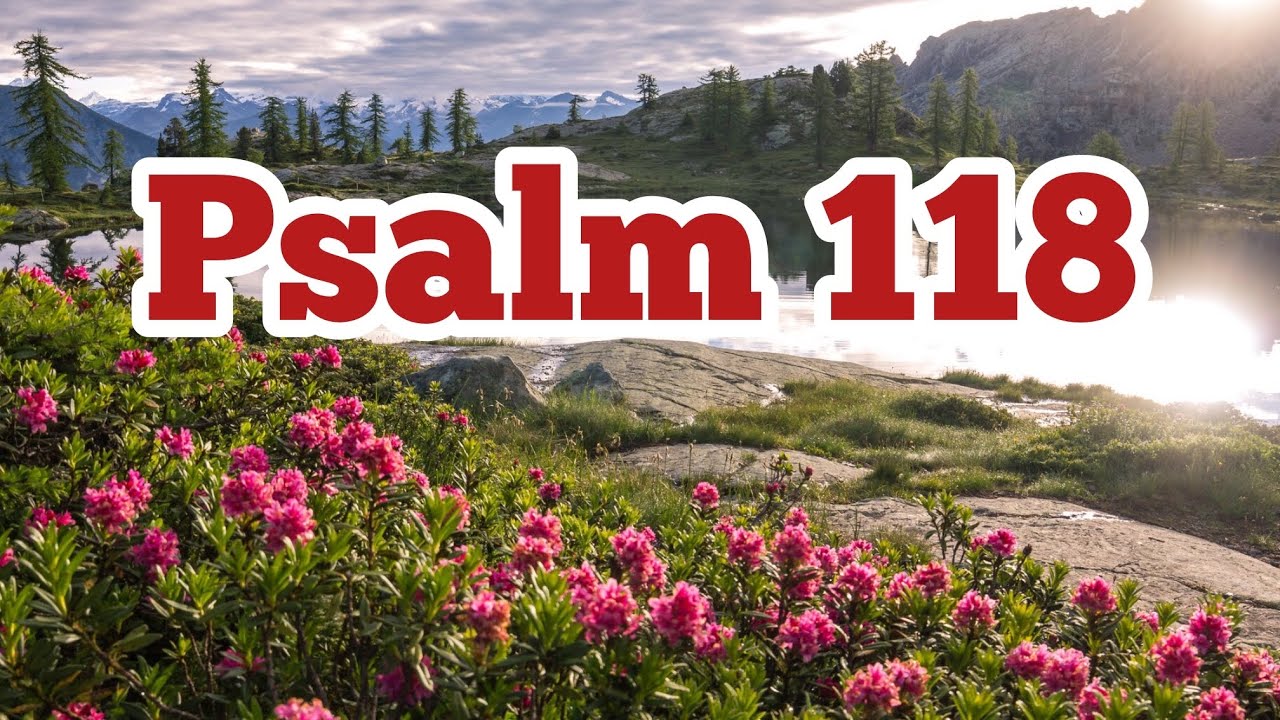 🌿 Psalm 118 – Dziękujcie Panu, bo jest dobry! 🙌✨
