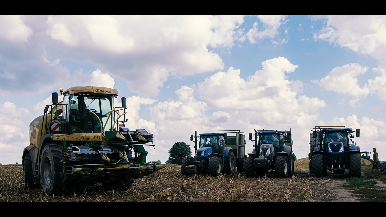 🌽Kukurydza na Kiszonkę 2023 w 4K🌽New Hollandy robią zadymę na polu 🔥 GR Mitak