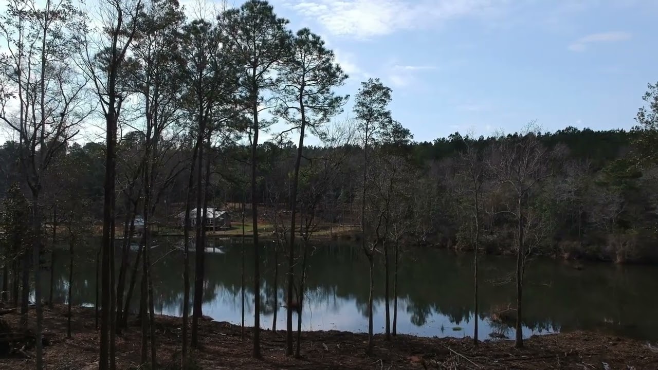 1b high footage Slow going but land clearing and prep for barn and cabin continues