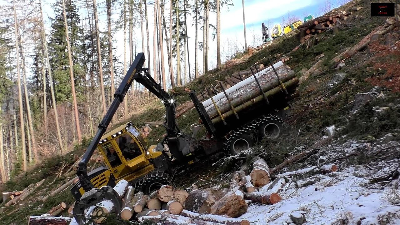 🌲Holzernte im Steilhang🌲  HSM 405H & Logmax 6000 ¤ HSM 208F ¤ Danke an die SteilhangProfis Rohrhofer