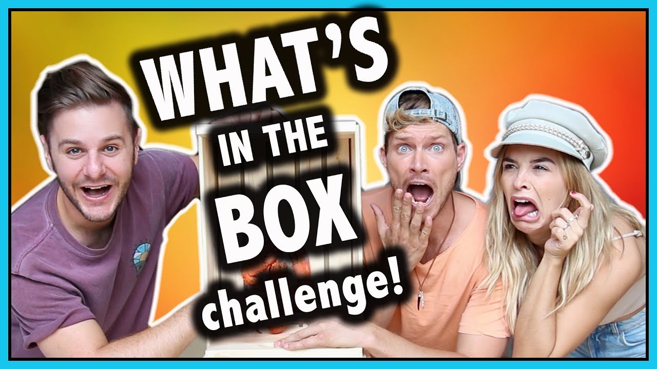 WHAT'S IN THE BOX CHALLENGE! avec PL Cloutier // P.O et Marina