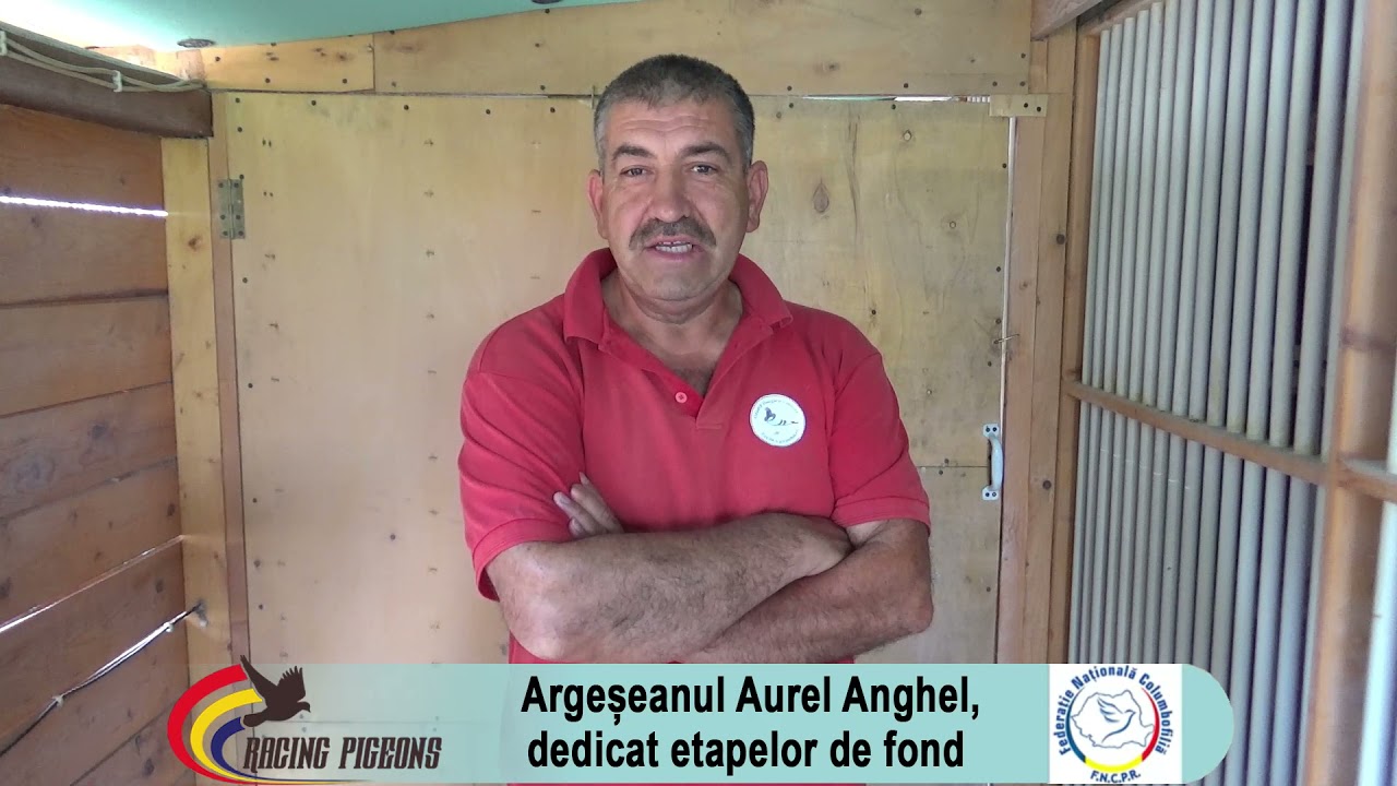 Argeșeanul Aurel Anghel, dedicat etapelor de fond