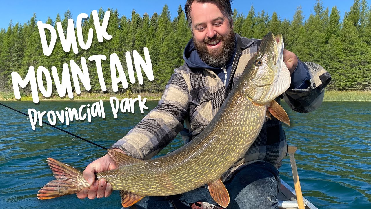 Canoe Fishing Adventure in Duck Mountain Provincial Park – Trophy Pike & Trout !