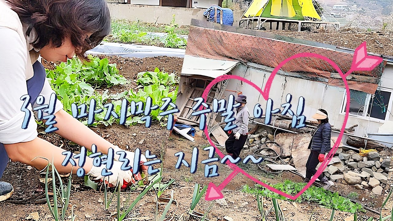 3월 마지막주 주말 정현리 텃밭 이모저모