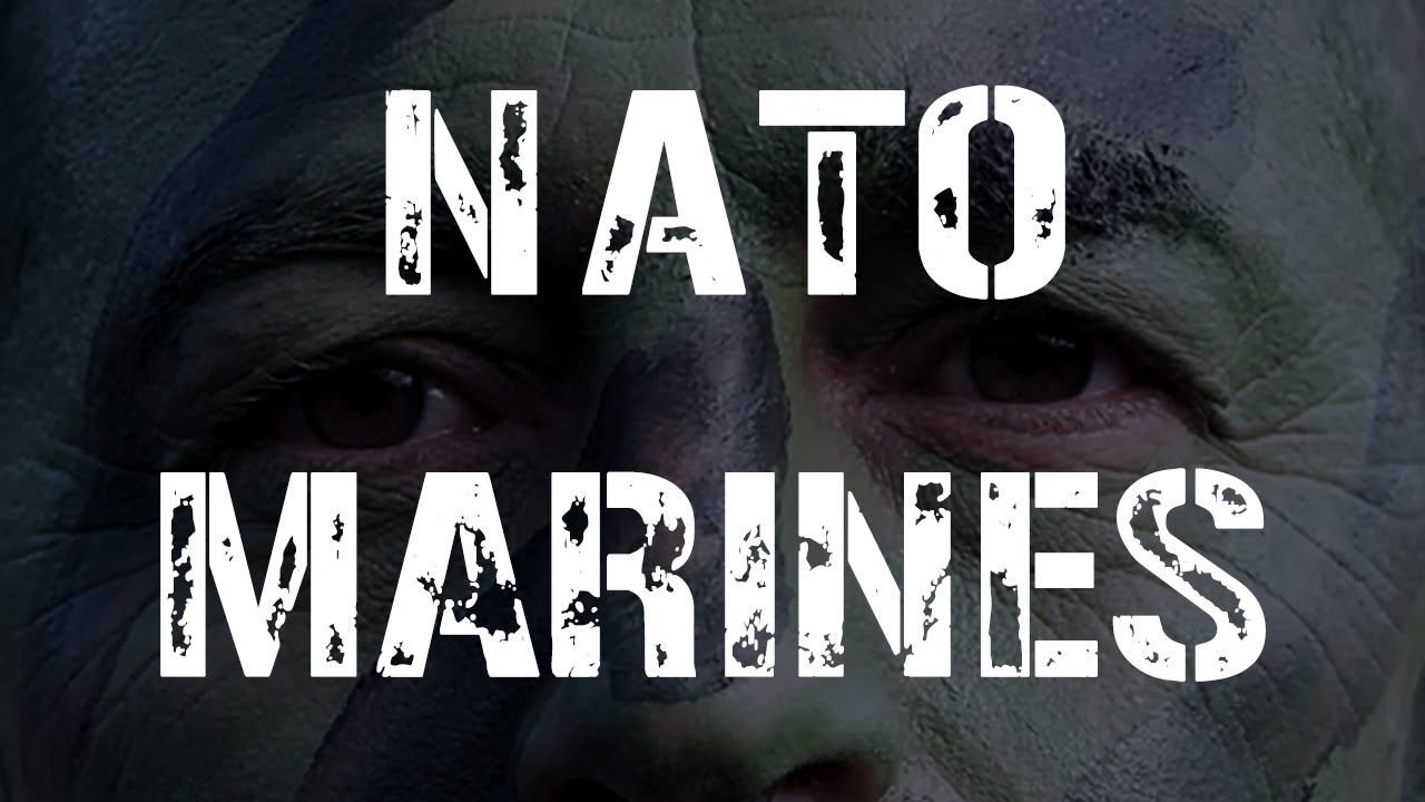 На суше и на море: силы морской пехоты НАТО