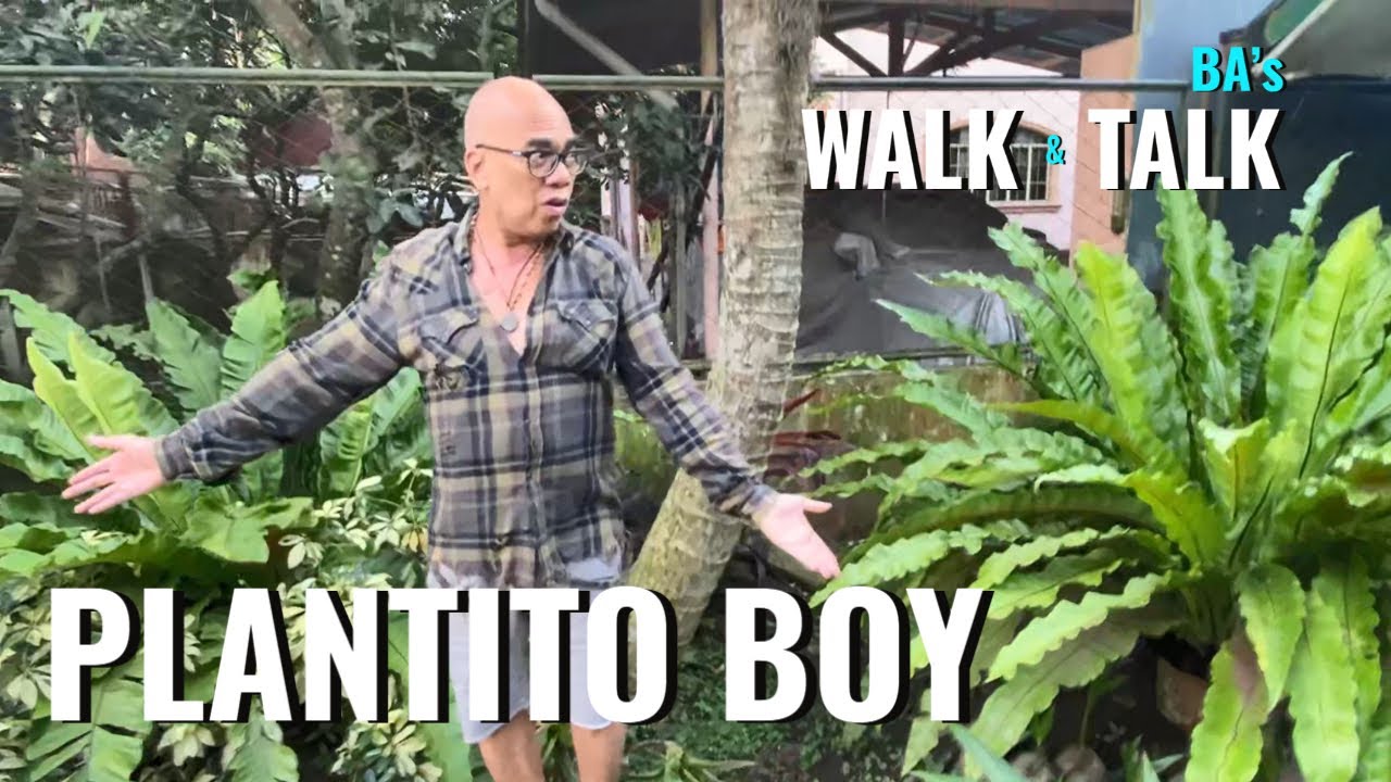 BA's Walk & Talk: PLANTito Boy
