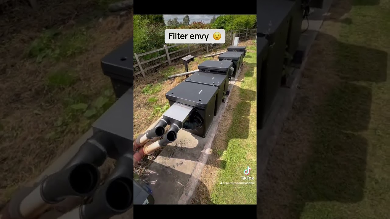 MEGA DRUM FILTER SETUP!  #pondfilter  #koifish  #fish  #koi  #oase  #drumfilter