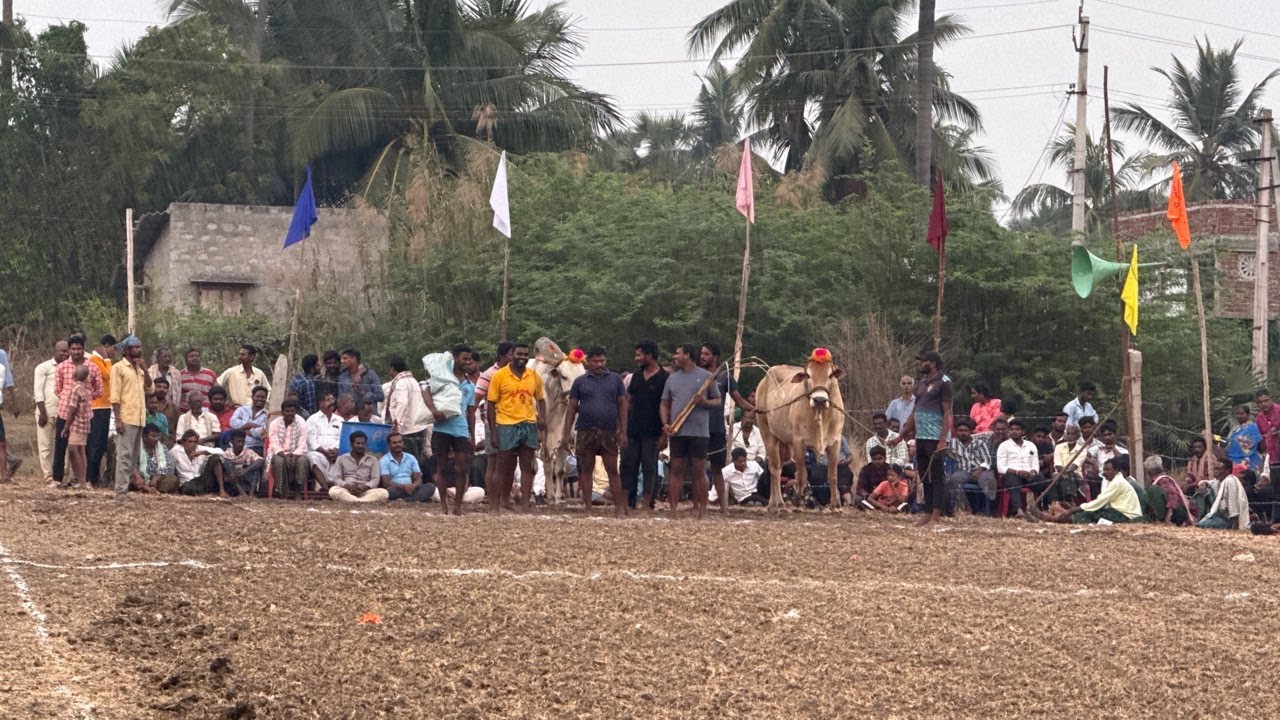 koduru Race | Juniors  | 10va  jatha | |