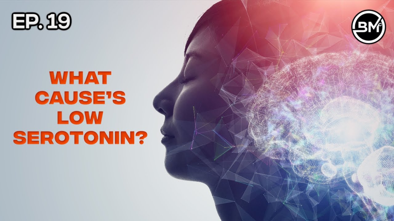 What Cause's a Serotonin Deficiency? - Ep. 19