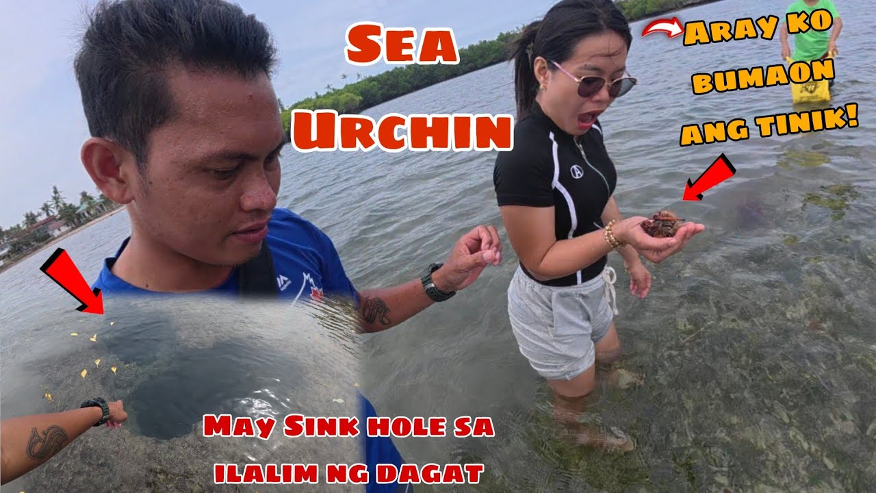 PANGUNGUHA NG SEA URCHIN | NATINIK SI CYRILLE | Katuba Official