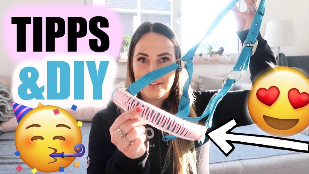TIPPS GEGEN LANGEWEILE DIY PFERDE HALFTER