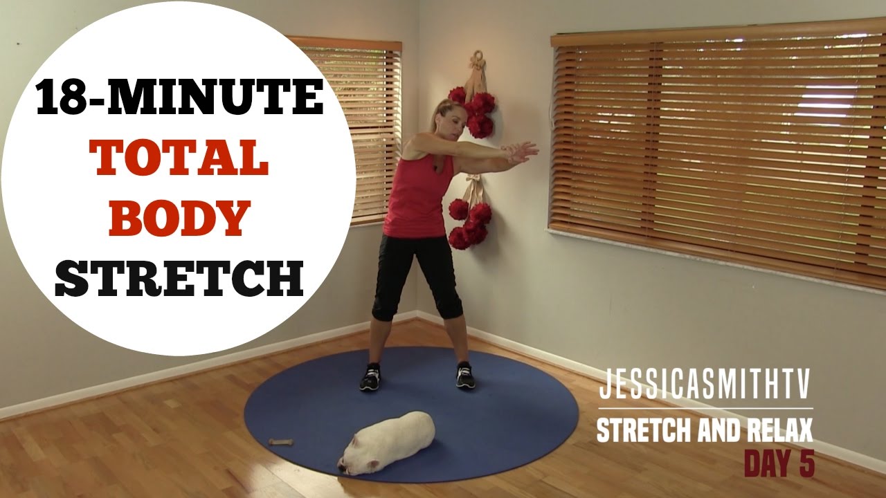 18 Minute Full Body Stretching Flexibility Routine - No Equipment for All Levels