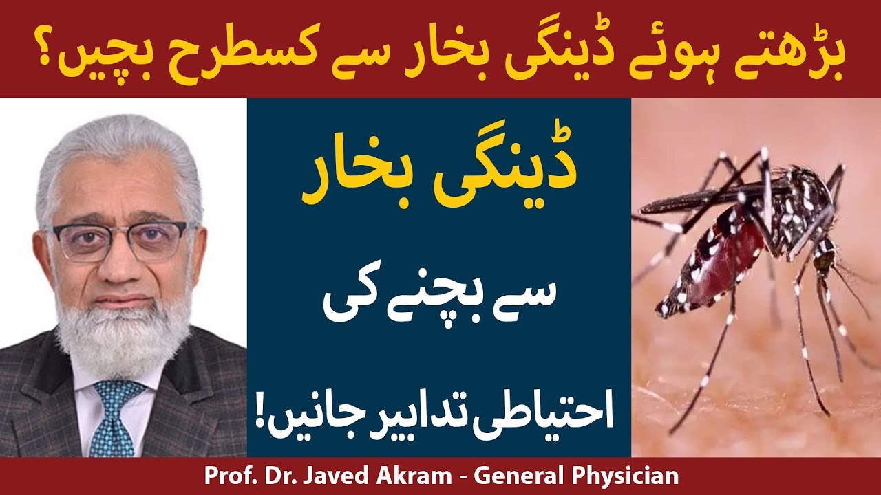 Dengue Fever [ Everything You Should Know About Dengue] in Urdu/Hindi