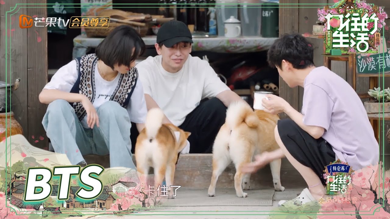 【未播】何炅调侃小H小O🤣一个只知道玩球一个什么都不玩《向往的生活5》 Back to Field S5 EP12丨MangoTV