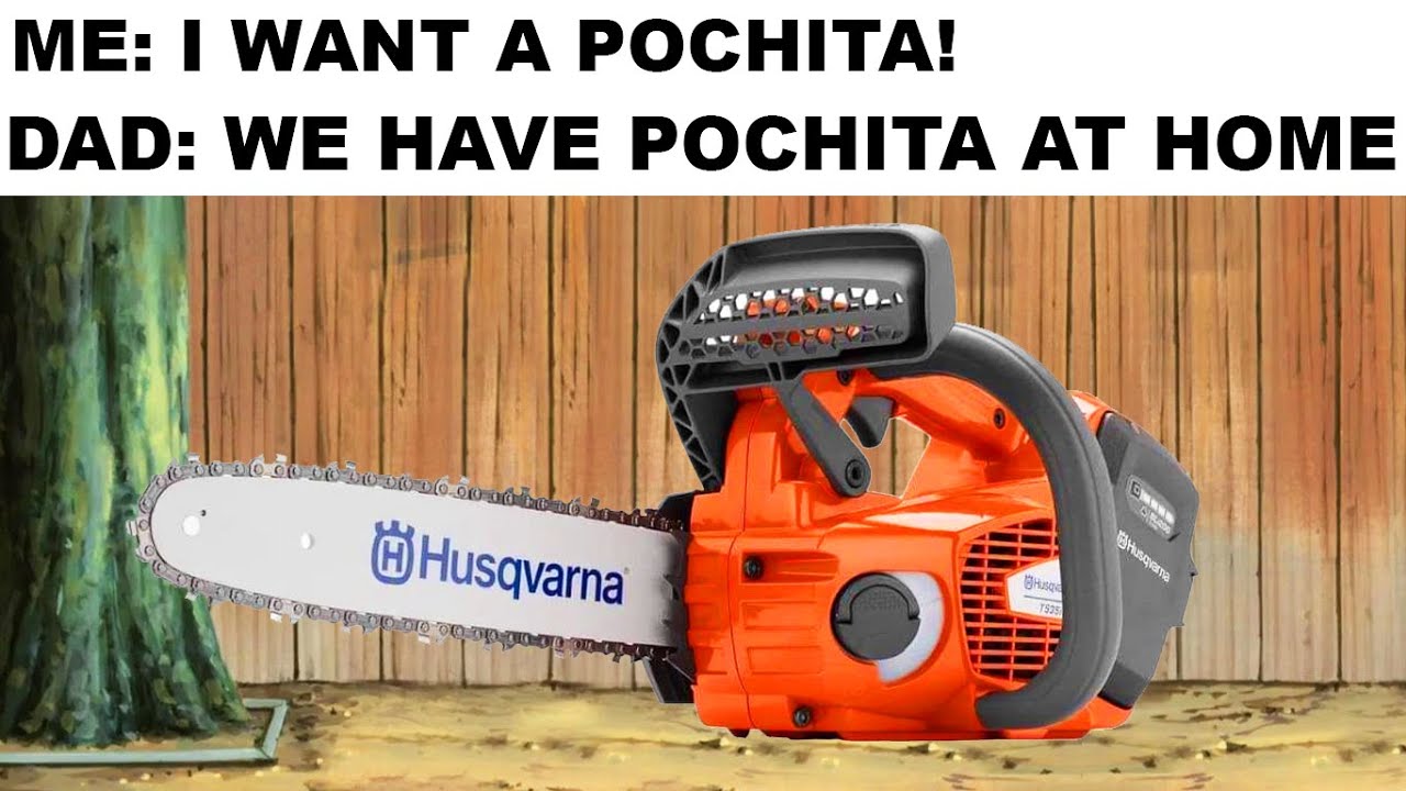 CHAINSAW MAN MEMES
