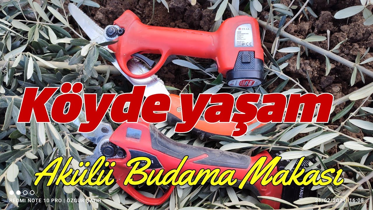 Köyde hayat serisi Akülü budama makası nasıl zeytin budama #inceleme #shortvideo #keşfet #tarım