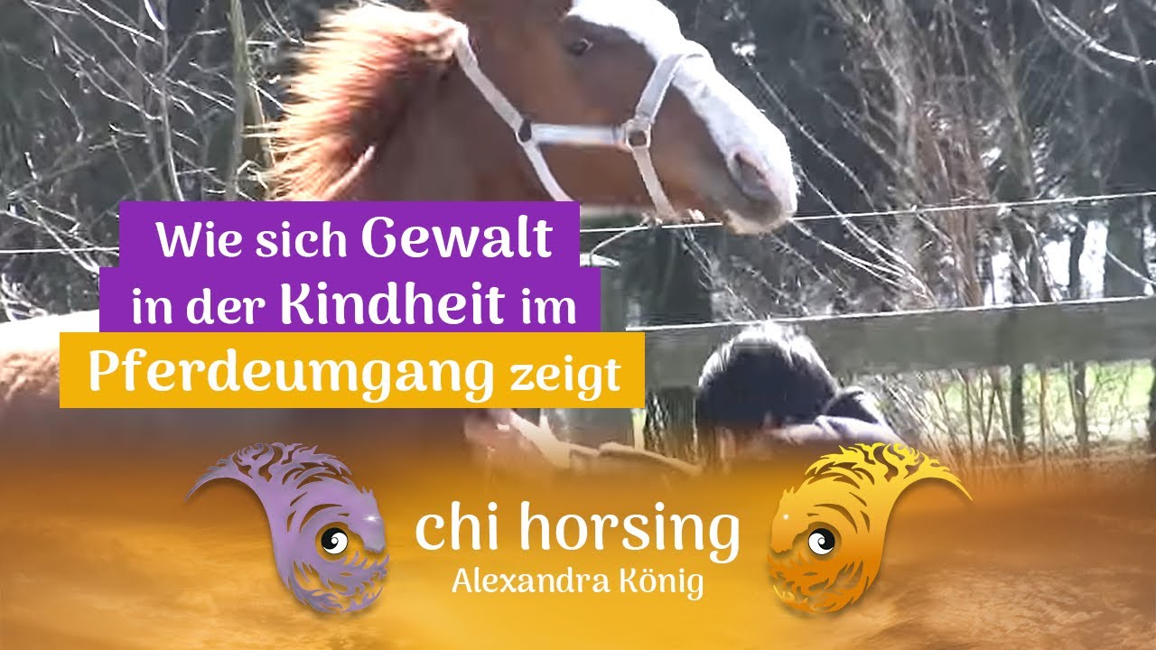 Gewalt aus der Kindheit zeigt sich im Pferdeumgang am deutlichsten