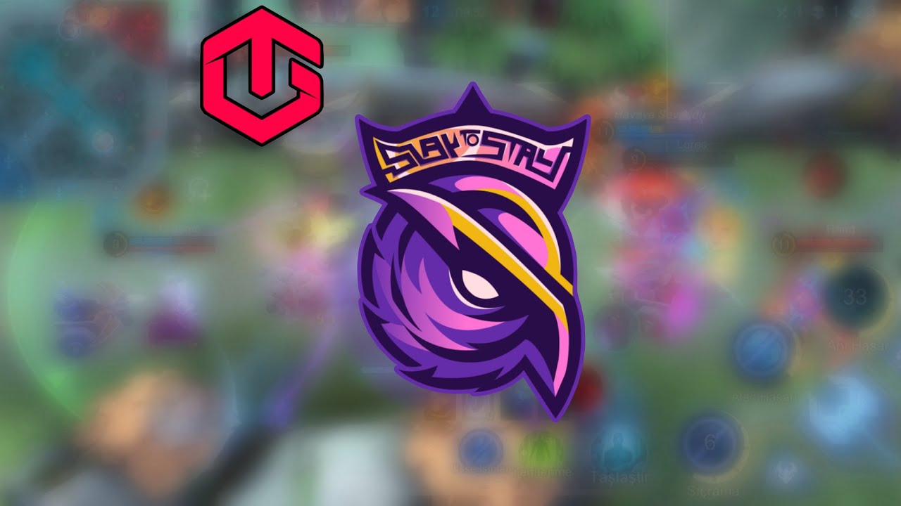 TETO GAMES #2 TURNUVASI ŞAMPİYONU S2G!