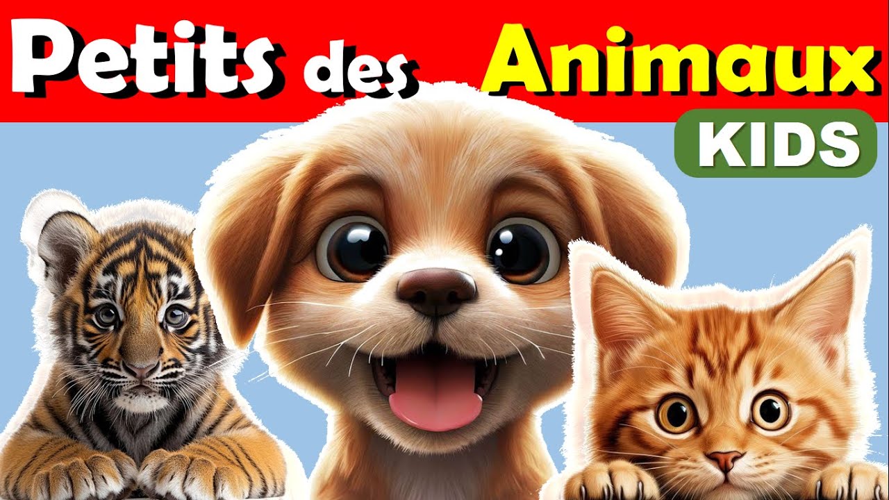 Apprendre LES BÉBÉS ANIMAUX 🐼🦊  | Chiot - Chaton ... | Amazing World Of Young Animals.