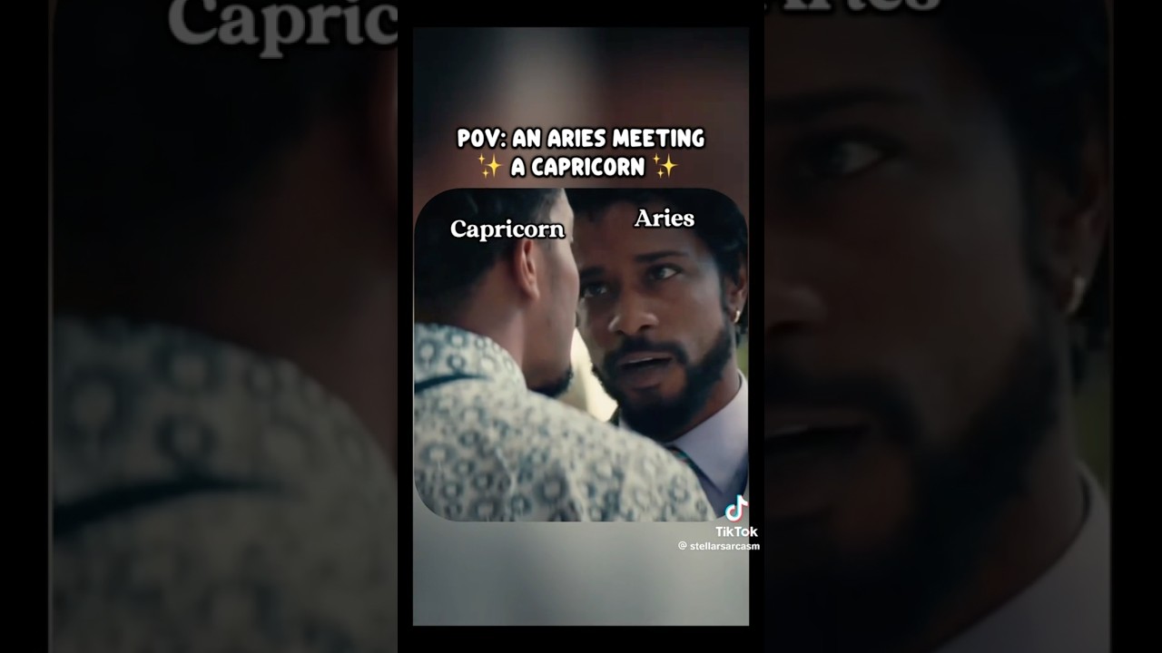 POV: an ARIES and a CAPRICORN have a conversation 😂🔥zodiac #astrology #horoscope #aries #capricorn