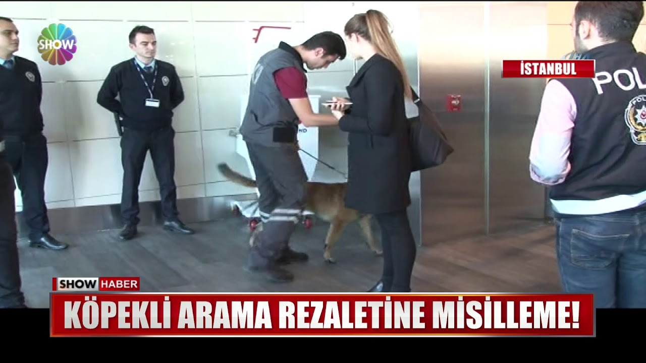 Köpekli arama rezaletine misilleme!