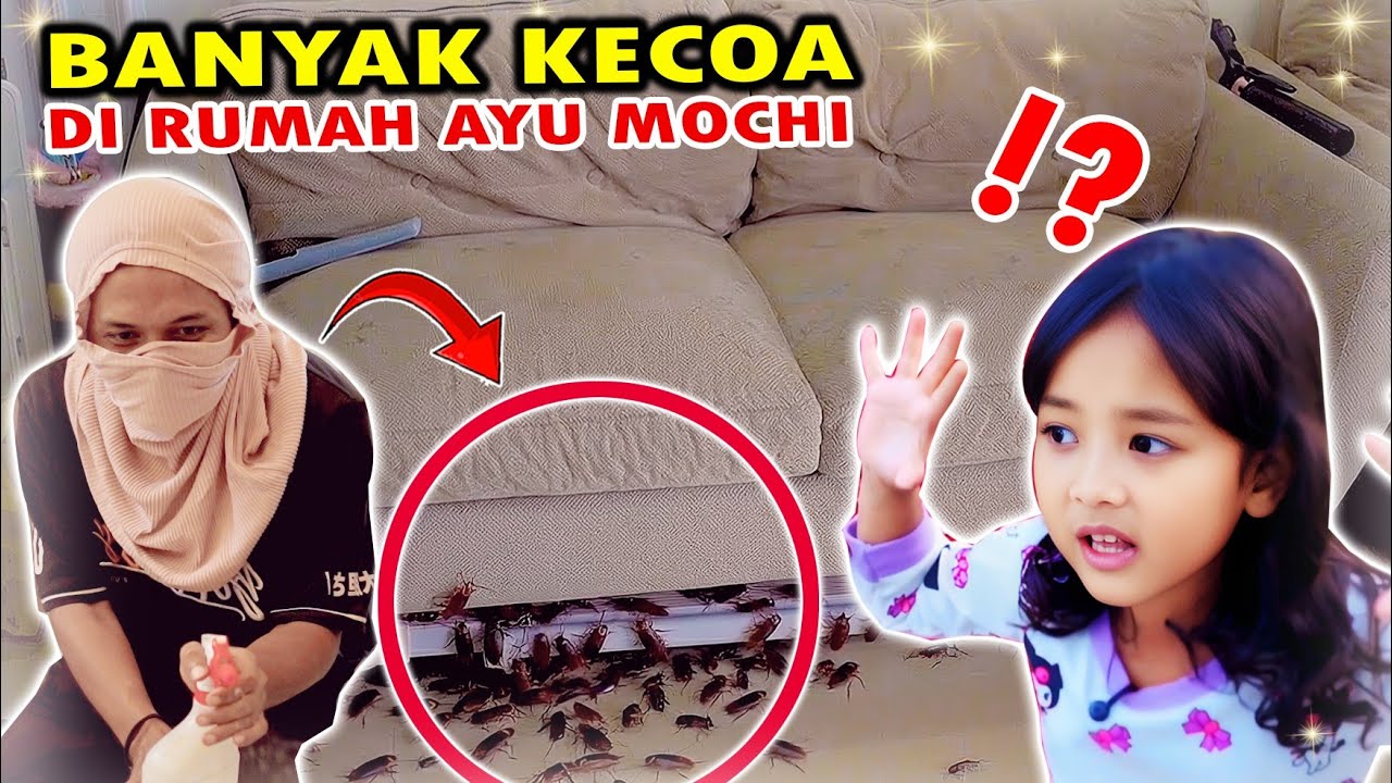 BANYAK KECOA DI RUMAH AYU⁉️