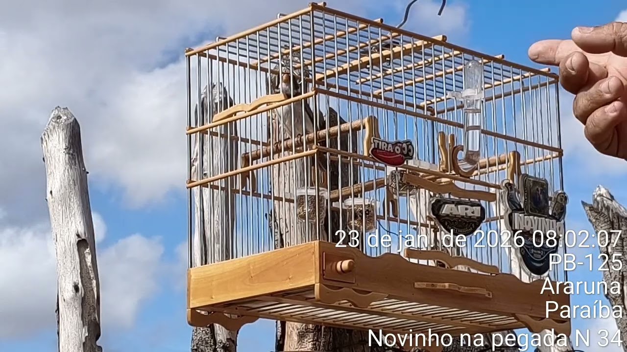 23 de janeiro de 2026