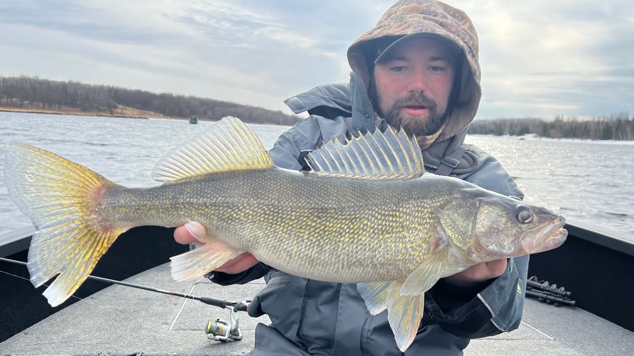 Rainy River Spring Walleye Fishing (2025)