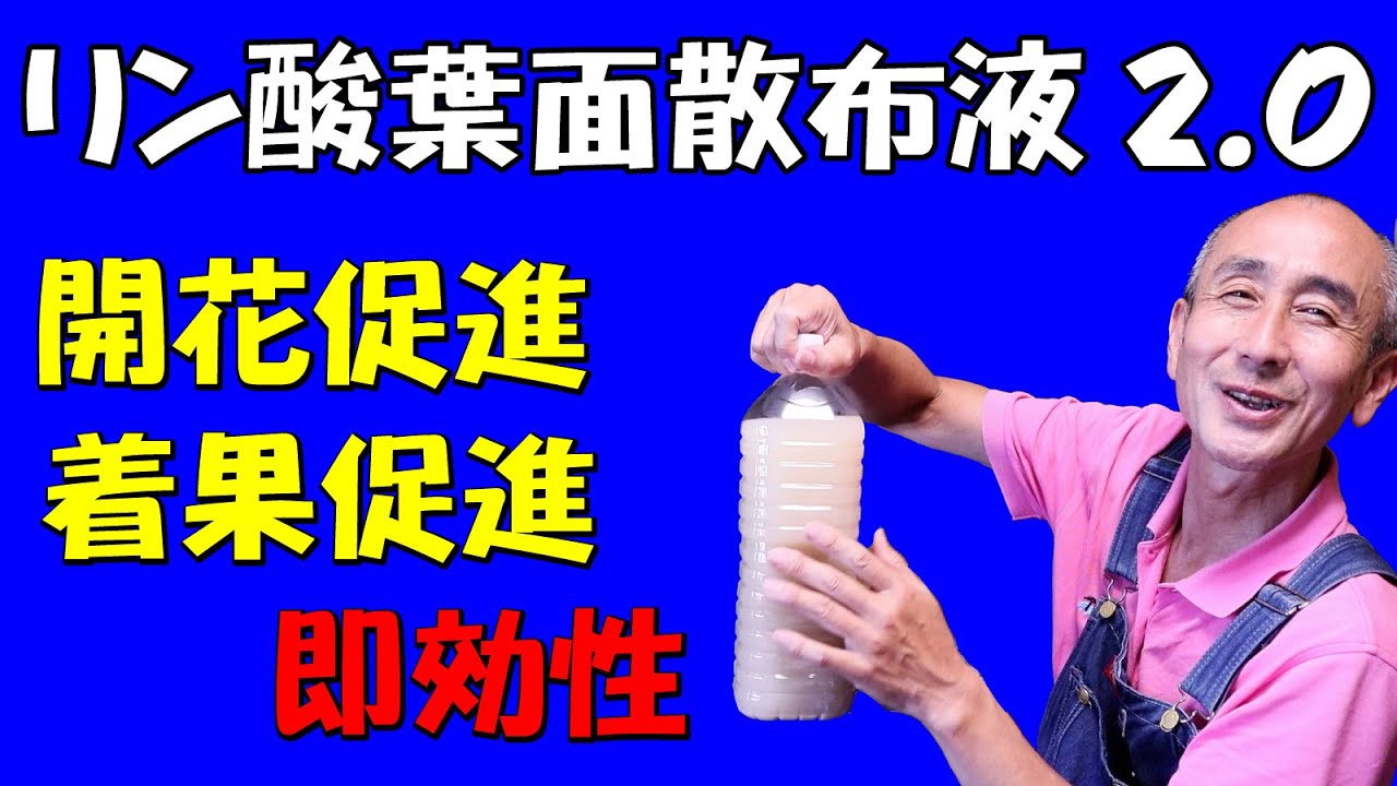 【簡単に作れて爆効液肥】リン酸葉面散布液2.0【ガーデニング】【家庭菜園】【農業】