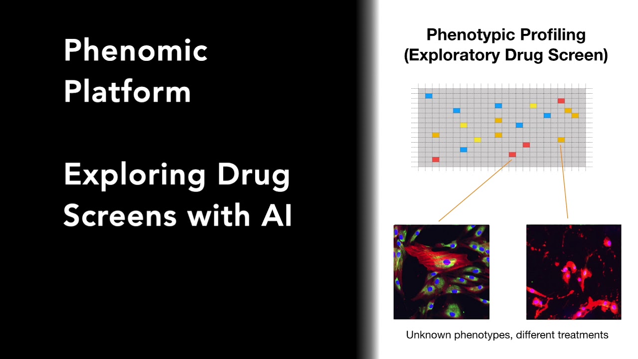 Phenomic AI Platform Demo