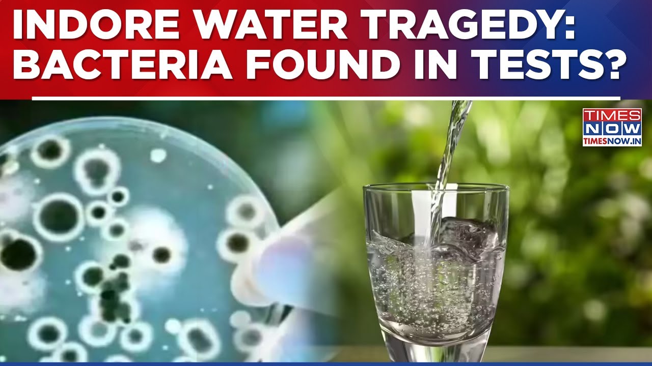 Indore Water Tragedy: Shocking Laboroty Findings Confirms Severe Contamination Of Bacteria, Watch!