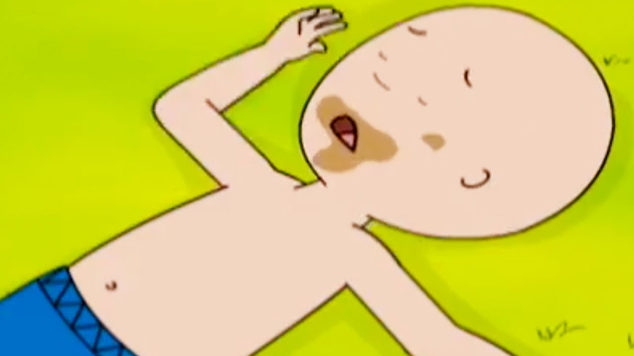 Caillou | Moe Caillou | Nieuwe Hele Caillou Afleveringen | Nederlands Gesproken