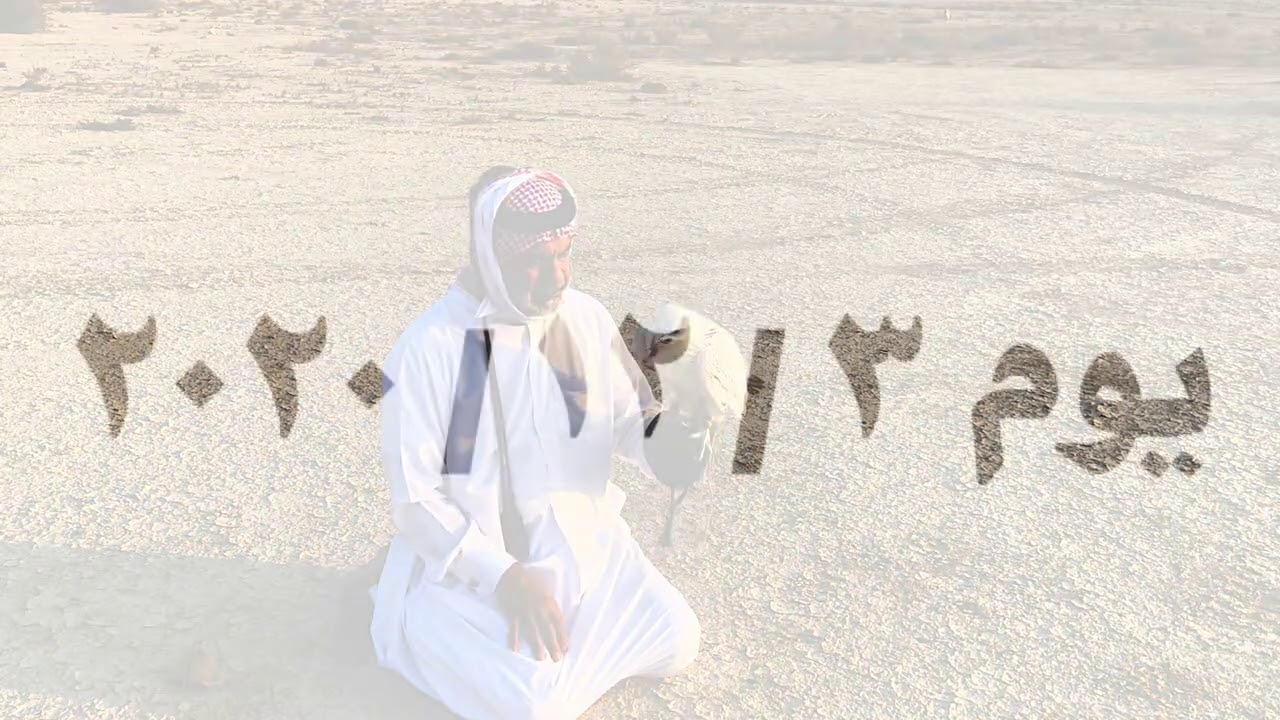 (   نَادْرَةْ الرَاكْدَةْ  ١٨   )