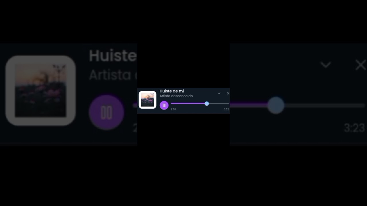 Huiste de mi-Bian-Zi 