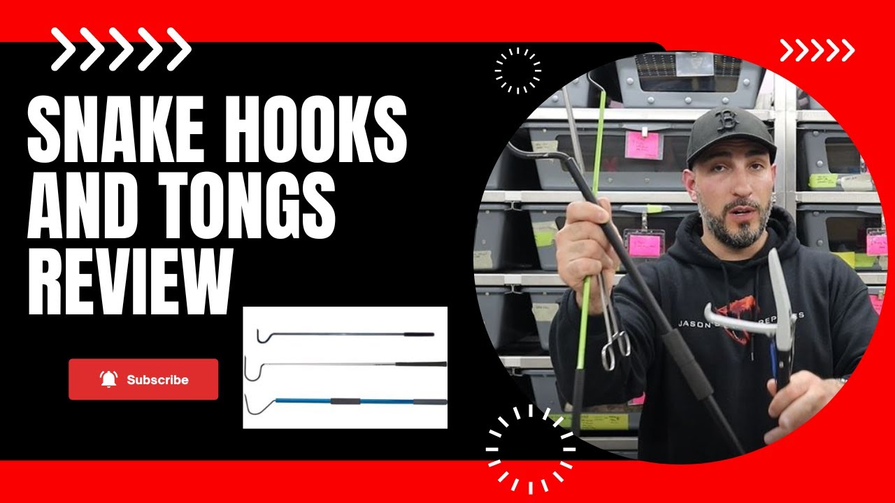 Snake Hook and Snake Tong Review! WHICH IS THE BEST? WORTH IT?