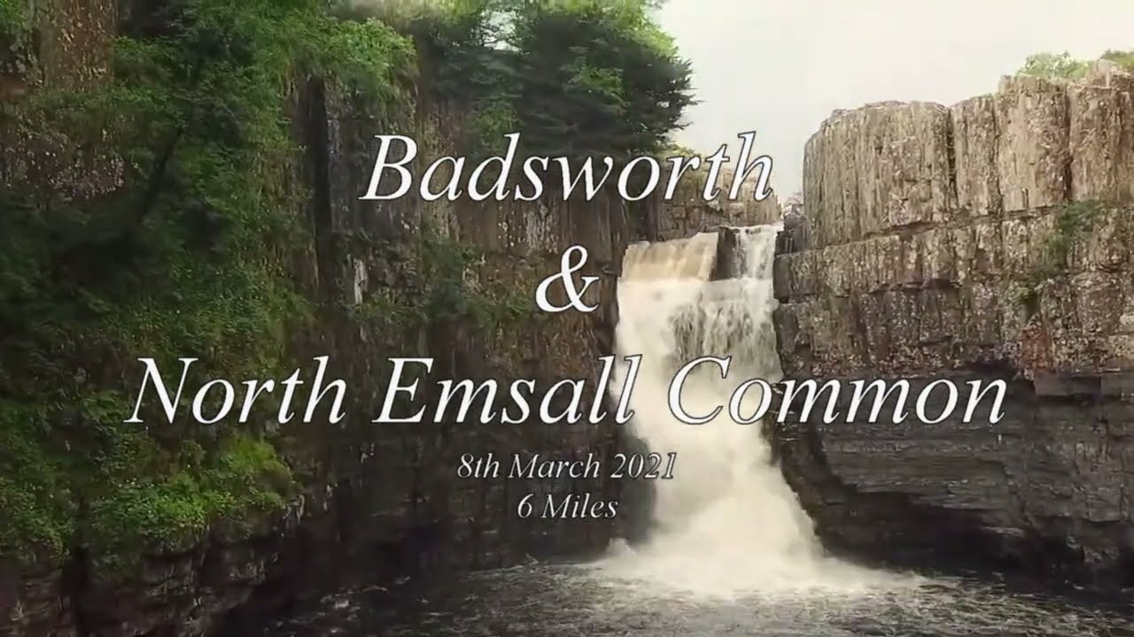 Badsworth & North Emsall Common