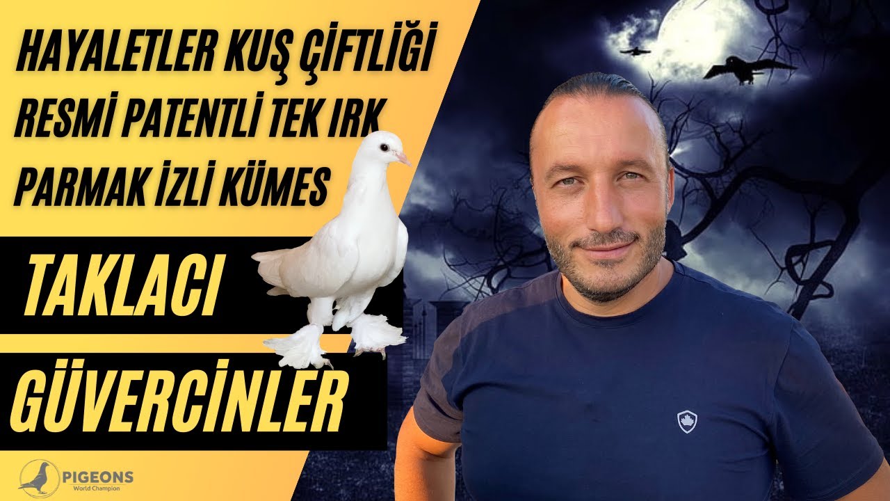Hayaletler Kuş Çiftliği Serdar Yurttaş 5