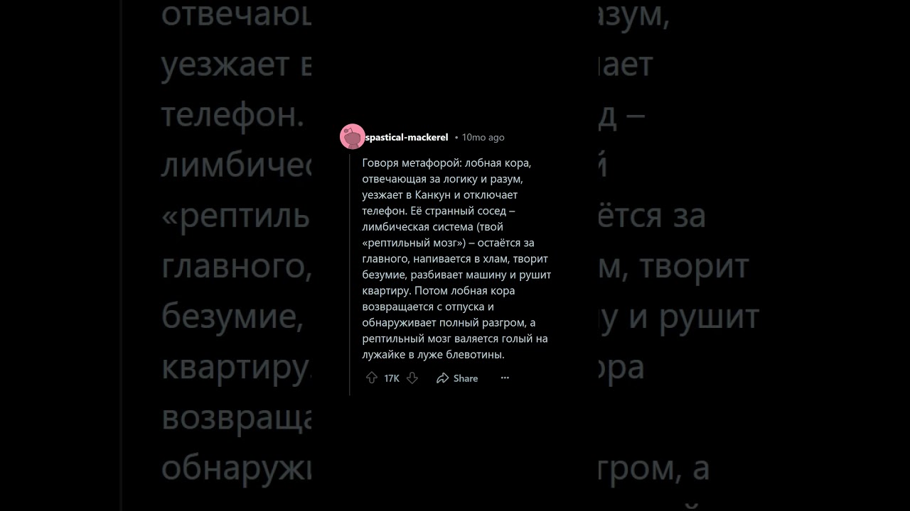 Что происходит с мозгом, когда ты ВОЗБУЖДЕН?