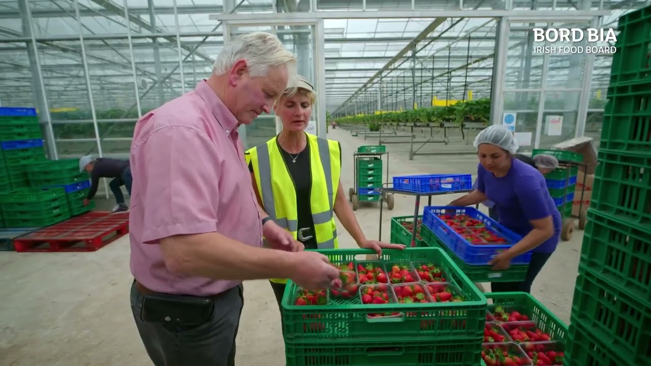 HOMEGROWN - Episode 5 Clip: Kearns Strawberries
