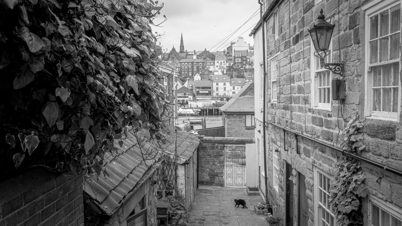 POV Street Photography With Nikon Z7II In Whitby