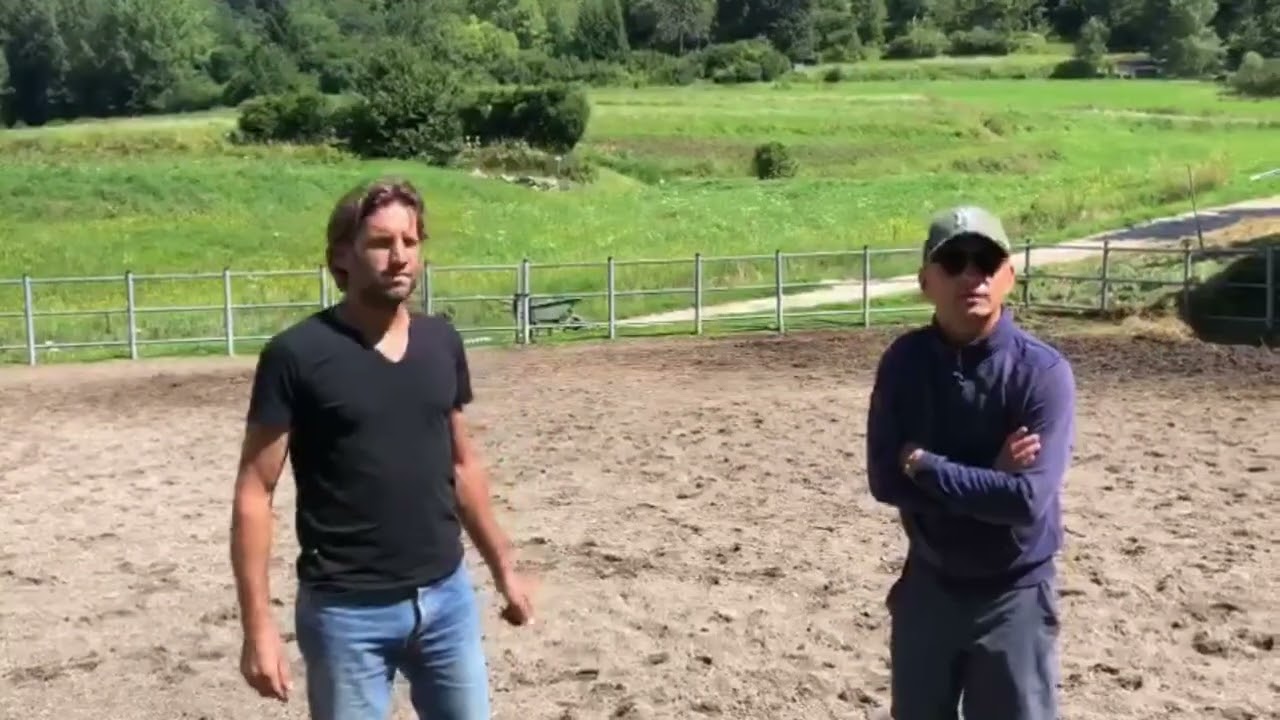 Partenza addestramento puledri - PARTE 2