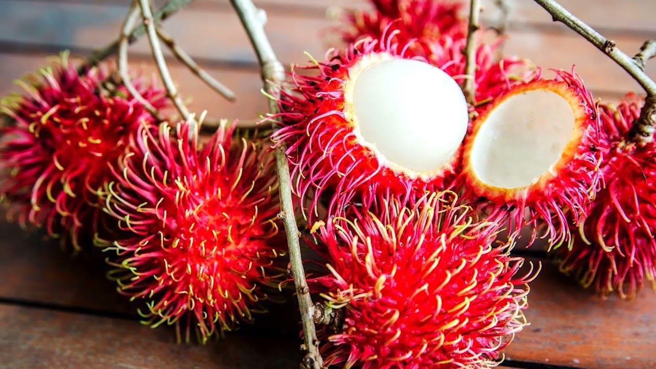 Rambutan: A Tasty Fruit With Health Benefits