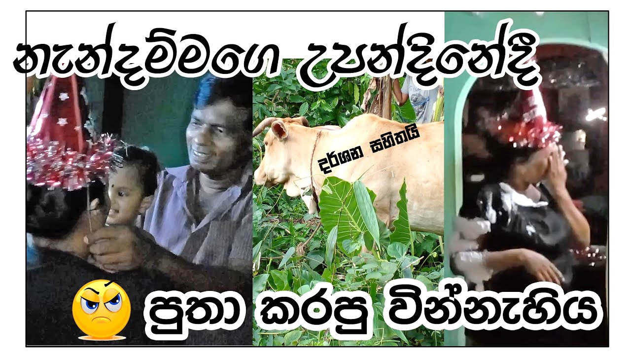 නැන්දම්මගෙ උපන්දිනෙ day vlog | birthday | shopping & funyy #dayvlog #shoppingvlog #birthday#sinhala