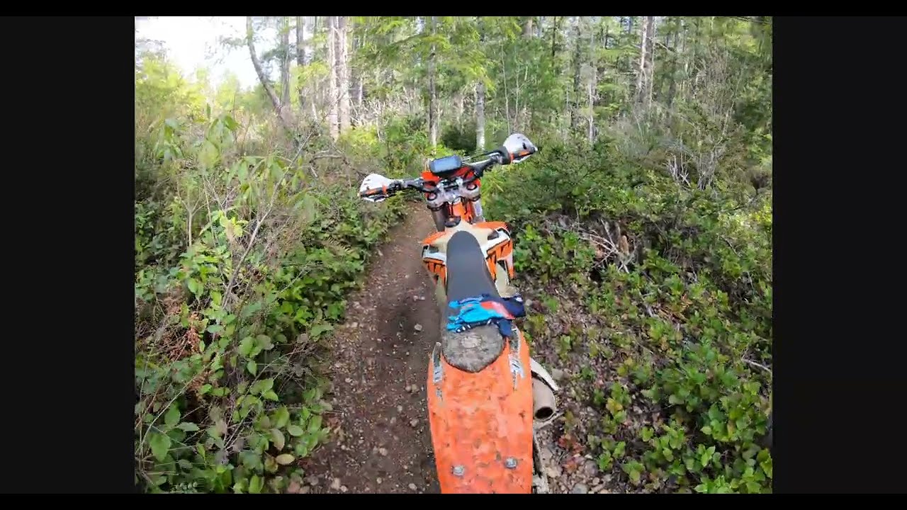 Tahuya single track is SICK